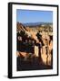 Hoodoos and Lone Pine Tree on a Ridge Lit by Late Afternoon Sun-Eleanor-Framed Photographic Print