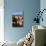 Hoodoos and Lone Pine Tree on a Ridge Lit by Late Afternoon Sun-Eleanor-Mounted Photographic Print displayed on a wall