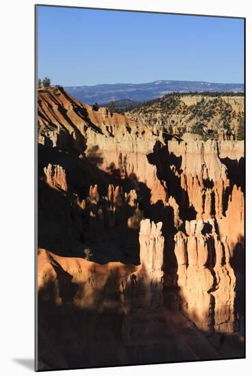 Hoodoos and Lone Pine Tree on a Ridge Lit by Late Afternoon Sun-Eleanor-Mounted Photographic Print