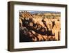 Hoodoos and Lone Pine Tree on a Ridge Lit by Late Afternoon Sun-Eleanor-Framed Photographic Print