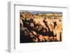 Hoodoos and Lone Pine Tree on a Ridge Lit by Late Afternoon Sun-Eleanor-Framed Photographic Print