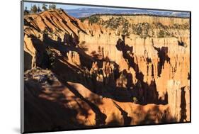 Hoodoos and Lone Pine Tree on a Ridge Lit by Late Afternoon Sun-Eleanor-Mounted Photographic Print