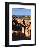 Hoodoos and Lone Pine Tree on a Ridge Lit by Late Afternoon Sun-Eleanor-Framed Photographic Print