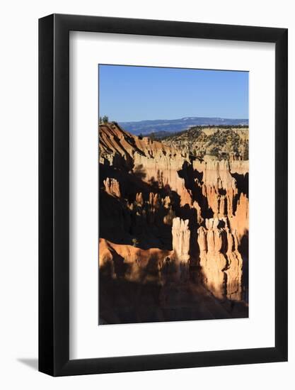 Hoodoos and Lone Pine Tree on a Ridge Lit by Late Afternoon Sun-Eleanor-Framed Photographic Print