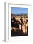 Hoodoos and Lone Pine Tree on a Ridge Lit by Late Afternoon Sun-Eleanor-Framed Photographic Print