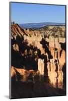 Hoodoos and Lone Pine Tree on a Ridge Lit by Late Afternoon Sun-Eleanor-Mounted Photographic Print