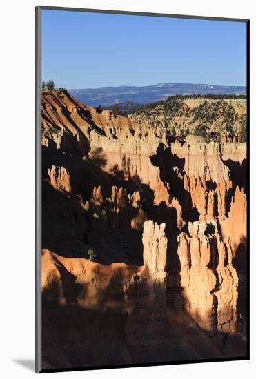 Hoodoos and Lone Pine Tree on a Ridge Lit by Late Afternoon Sun-Eleanor-Mounted Photographic Print
