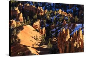 Hoodoos and Pine Trees with Snow Lit by Late Afternoon Sun in Winter-Eleanor-Stretched Canvas