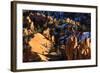 Hoodoos and Pine Trees with Snow Lit by Late Afternoon Sun in Winter-Eleanor-Framed Photographic Print