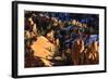 Hoodoos and Pine Trees with Snow Lit by Late Afternoon Sun in Winter-Eleanor-Framed Photographic Print