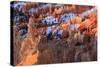 Hoodoos and Snow Lit by Strong Dawn Light-Eleanor Scriven-Stretched Canvas