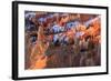 Hoodoos and Snow Lit by Strong Dawn Light-Eleanor Scriven-Framed Photographic Print