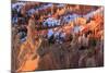 Hoodoos and Snow Lit by Strong Dawn Light-Eleanor Scriven-Mounted Photographic Print