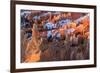 Hoodoos and Snow Lit by Strong Dawn Light-Eleanor Scriven-Framed Photographic Print