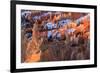 Hoodoos and Snow Lit by Strong Dawn Light-Eleanor Scriven-Framed Photographic Print