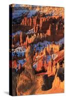 Hoodoos and Snow Lit by Strong Dawn Light-Eleanor Scriven-Stretched Canvas