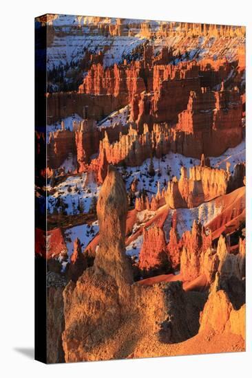 Hoodoos and Snow Lit by Strong Dawn Light-Eleanor Scriven-Stretched Canvas