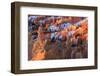 Hoodoos and Snow Lit by Strong Dawn Light-Eleanor Scriven-Framed Photographic Print