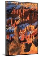 Hoodoos and Snow Lit by Strong Dawn Light-Eleanor Scriven-Mounted Photographic Print