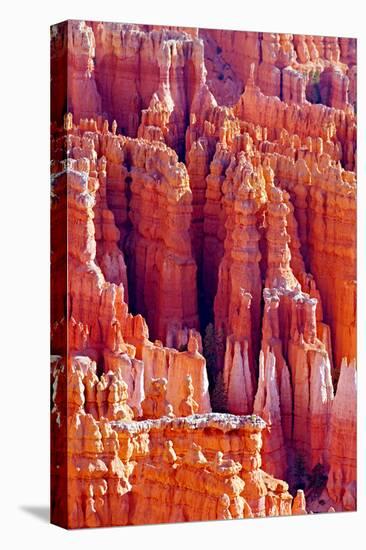 Hoodoos at Dawn-Douglas Taylor-Stretched Canvas