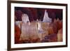 Hoodoos at Sunrise Point, Bryce Canyon National Park, Utah, USA-Michel Hersen-Framed Photographic Print