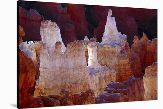 Hoodoos at Sunrise Point, Bryce Canyon National Park, Utah, USA-Michel Hersen-Stretched Canvas