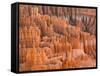 Hoodoos in Bryce Canyon from Inspiration Point, Bryce Canyon National Park, Utah, USA-Jamie & Judy Wild-Framed Stretched Canvas