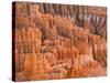 Hoodoos in Bryce Canyon from Inspiration Point, Bryce Canyon National Park, Utah, USA-Jamie & Judy Wild-Stretched Canvas