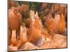 Hoodoos in Bryce Canyon from Inspiration Point, Bryce Canyon National Park, Utah, USA-Jamie & Judy Wild-Mounted Photographic Print