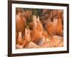 Hoodoos in Bryce Canyon from Inspiration Point, Bryce Canyon National Park, Utah, USA-Jamie & Judy Wild-Framed Photographic Print