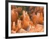 Hoodoos in Bryce Canyon from Inspiration Point, Bryce Canyon National Park, Utah, USA-Jamie & Judy Wild-Framed Photographic Print