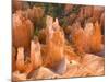 Hoodoos in Bryce Canyon from Inspiration Point, Bryce Canyon National Park, Utah, USA-Jamie & Judy Wild-Mounted Photographic Print