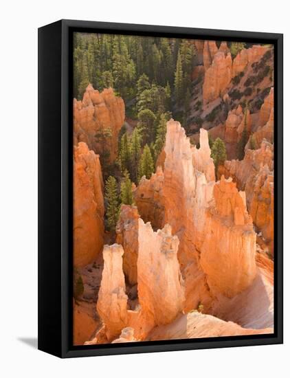 Hoodoos in Bryce Canyon from Inspiration Point, Bryce Canyon National Park, Utah, USA-Jamie & Judy Wild-Framed Stretched Canvas