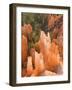 Hoodoos in Bryce Canyon from Inspiration Point, Bryce Canyon National Park, Utah, USA-Jamie & Judy Wild-Framed Photographic Print