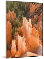 Hoodoos in Bryce Canyon from Inspiration Point, Bryce Canyon National Park, Utah, USA-Jamie & Judy Wild-Mounted Photographic Print