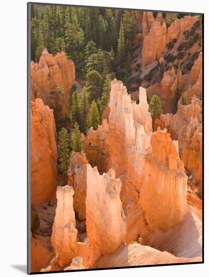 Hoodoos in Bryce Canyon from Inspiration Point, Bryce Canyon National Park, Utah, USA-Jamie & Judy Wild-Mounted Photographic Print