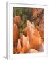 Hoodoos in Bryce Canyon from Inspiration Point, Bryce Canyon National Park, Utah, USA-Jamie & Judy Wild-Framed Photographic Print