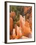 Hoodoos in Bryce Canyon from Inspiration Point, Bryce Canyon National Park, Utah, USA-Jamie & Judy Wild-Framed Photographic Print