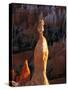 Hoodoos in Bryce Canyon National Park-Joseph Sohm-Stretched Canvas