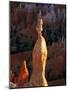 Hoodoos in Bryce Canyon National Park-Joseph Sohm-Mounted Photographic Print