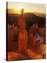 Hoodoos of Bryce Canyon, Utah, USA-Jerry Ginsberg-Stretched Canvas