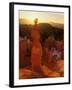 Hoodoos of Bryce Canyon, Utah, USA-Jerry Ginsberg-Framed Premium Photographic Print