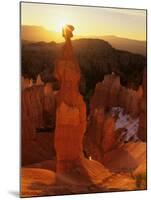 Hoodoos of Bryce Canyon, Utah, USA-Jerry Ginsberg-Mounted Premium Photographic Print