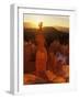 Hoodoos of Bryce Canyon, Utah, USA-Jerry Ginsberg-Framed Photographic Print