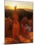 Hoodoos of Bryce Canyon, Utah, USA-Jerry Ginsberg-Mounted Photographic Print