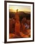 Hoodoos of Bryce Canyon, Utah, USA-Jerry Ginsberg-Framed Photographic Print