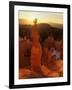 Hoodoos of Bryce Canyon, Utah, USA-Jerry Ginsberg-Framed Photographic Print