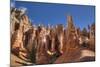 Hoodoos, on the Queens Garden Trail, Bryce Canyon National Park, Utah, United States of America-Richard Maschmeyer-Mounted Photographic Print