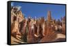 Hoodoos, on the Queens Garden Trail, Bryce Canyon National Park, Utah, United States of America-Richard Maschmeyer-Framed Stretched Canvas