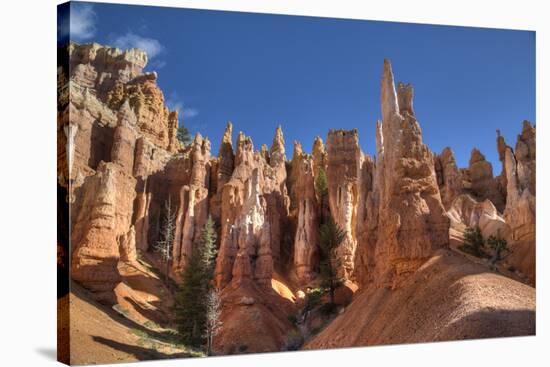 Hoodoos, on the Queens Garden Trail, Bryce Canyon National Park, Utah, United States of America-Richard Maschmeyer-Stretched Canvas